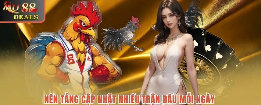 Đá Gà Mu88 - Nền Tảng An Toàn Với Phần Thưởng Có Giá Trị Nền tảng cập nhật nhiều trận đấu mỗi ngày