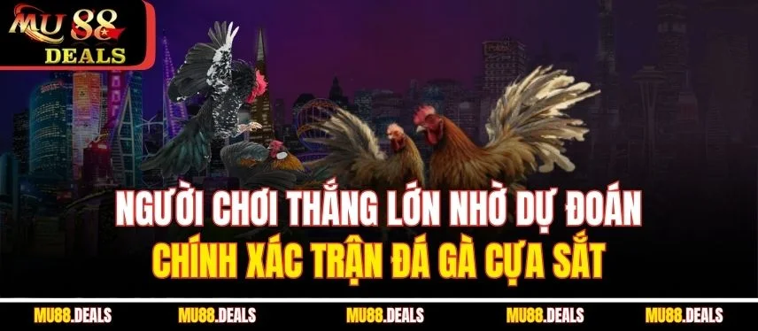 Đá Gà Cựa Sắt – Trải Nghiệm Kịch Tính Đỉnh Cao Tại Mu88 Người chơi thắng lớn nhờ dự đoán chính xác trận đá gà cựa sắt