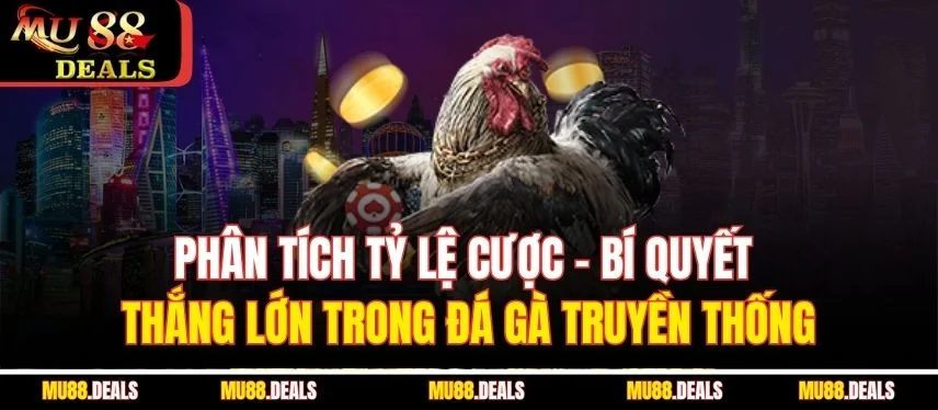 Đá Gà Truyền Thống – Tựa Game Giải Trí Đặc Sắc Tại Mu88 Phân tích tỷ lệ cược – bí quyết thắng lớn trong đá gà truyền thống