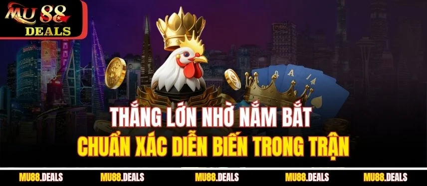 Đá Gà Thomo – Cuộc Đối Đầu Nảy Lửa Trên Đấu Trường Mu88 Thắng lớn nhờ nắm bắt chuẩn xác diễn biến trong trận