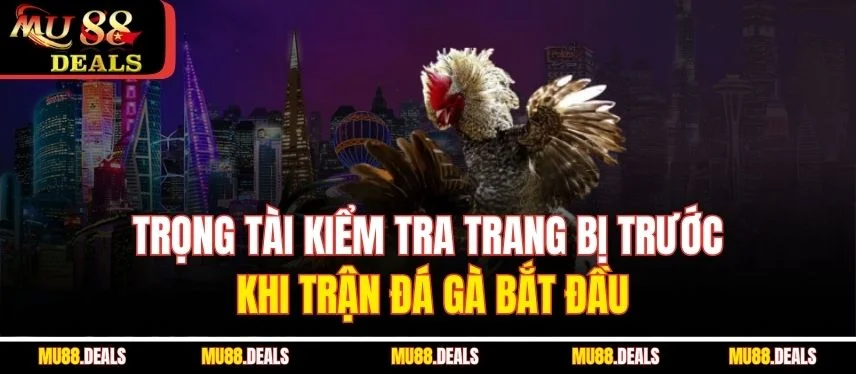 Đá Gà Cựa Dao – Môn Giải Trí Cá Cược Đầy Máu Lửa Tại Mu88 Trọng tài kiểm tra trang bị trước khi trận đá gà bắt đầu